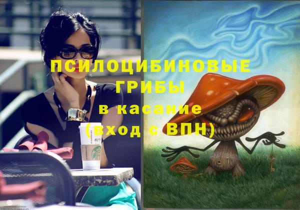 спиды Сясьстрой