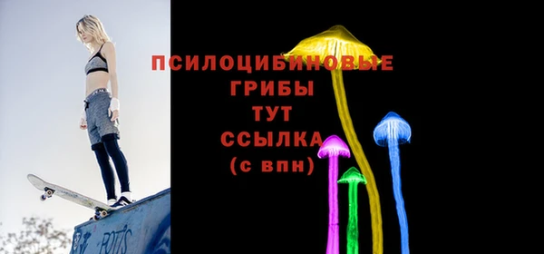 МДПВ Тобольск