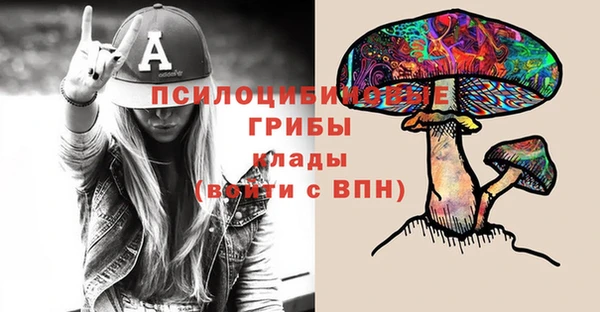 МДПВ Тобольск