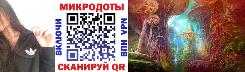 что такое наркотик  Шимановск  Псилоцибиновые грибы Magic Shrooms 